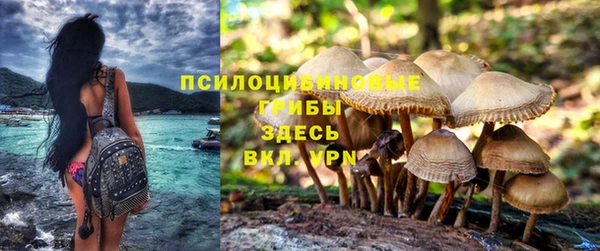 MDMA Алексеевка