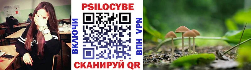 продажа наркотиков  Лихославль  Галлюциногенные грибы Cubensis 